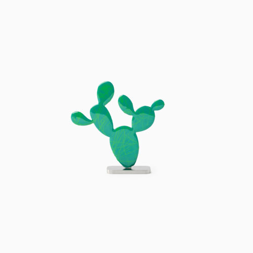 cactus still life